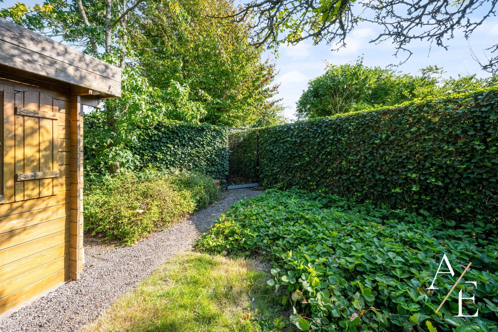 WICHELEN - Landelijke grote woning met prachtige tuin! foto 14