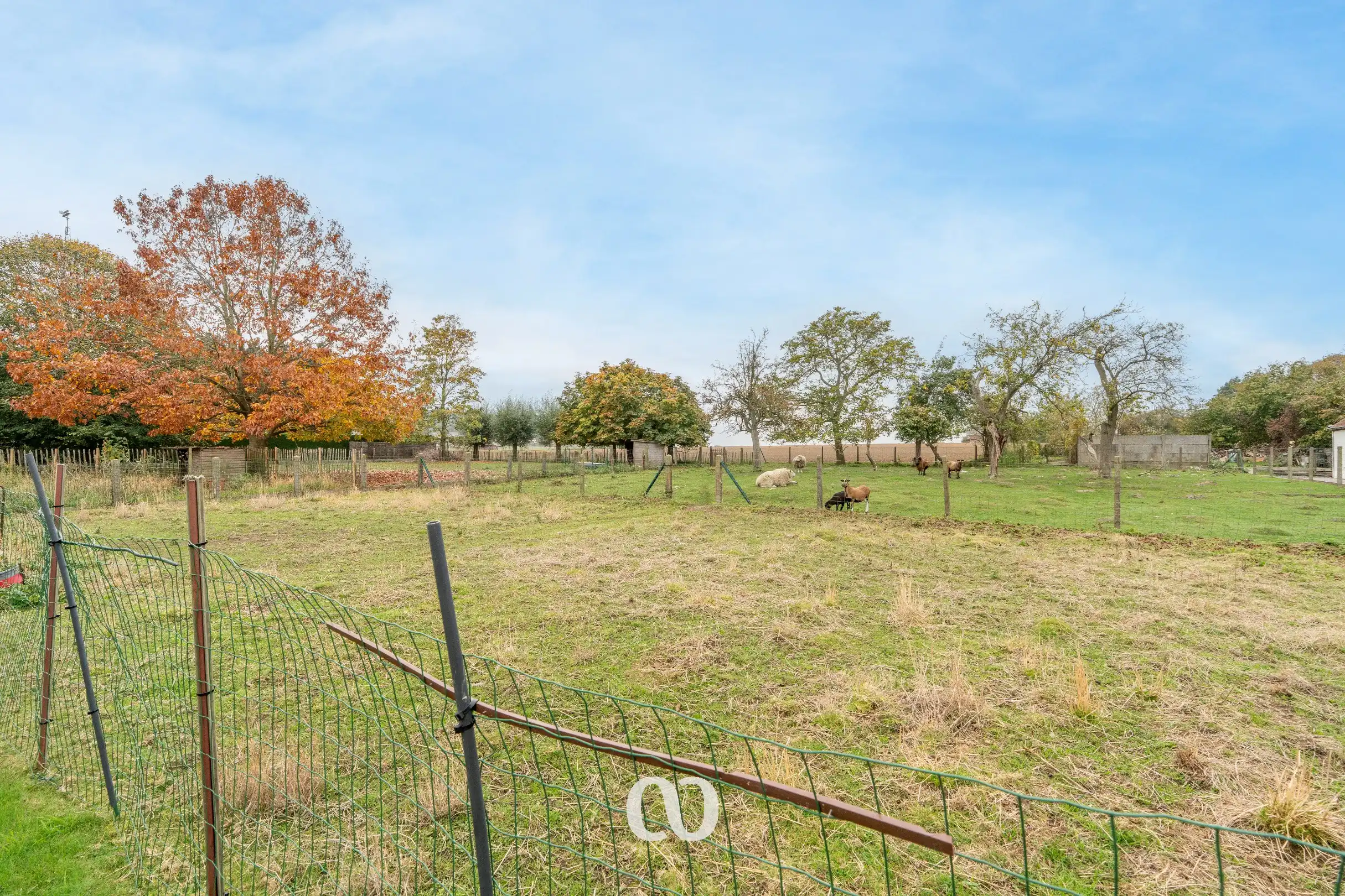 Rustig gelegen open bebouwing op mooi perceel foto 25