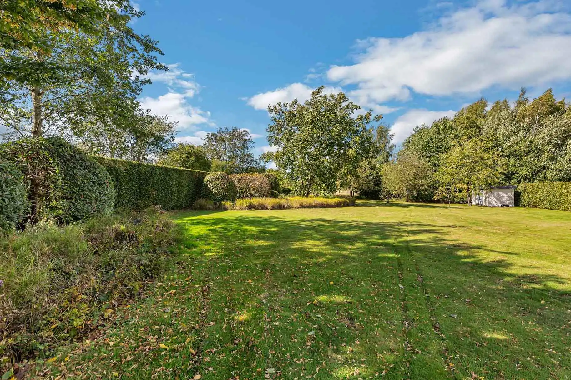 Unieke bouwgrond voor open bebouwing te koop in Wambeek! foto 5