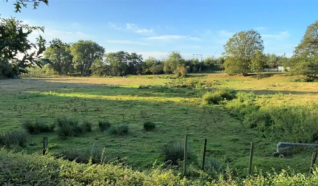 Gelijkvloers kantoor te huur op zichtlocatie langs N9 in Melle foto 19