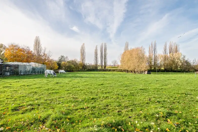 Bouwgrond voor nieuw te bouwen villa in Landegem foto 5