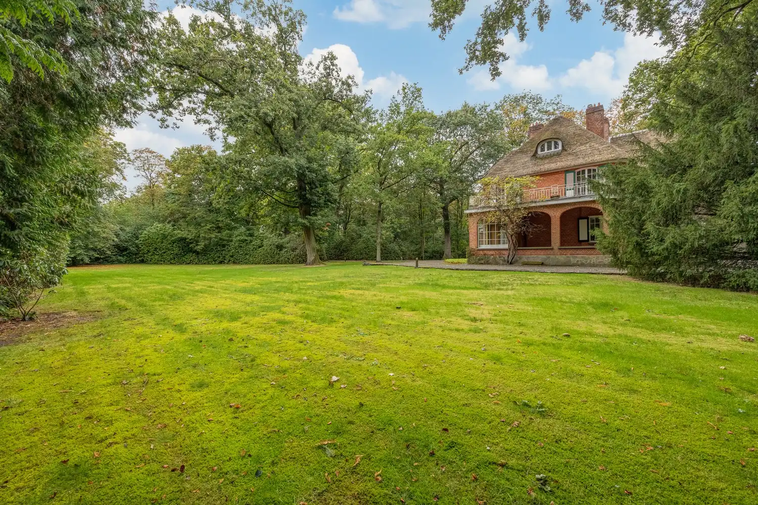 Karaktervolle te renoveren rietgedekte villa op een uitzonderlijk parkdomein van 9127 m² in Vriesdonk foto 34