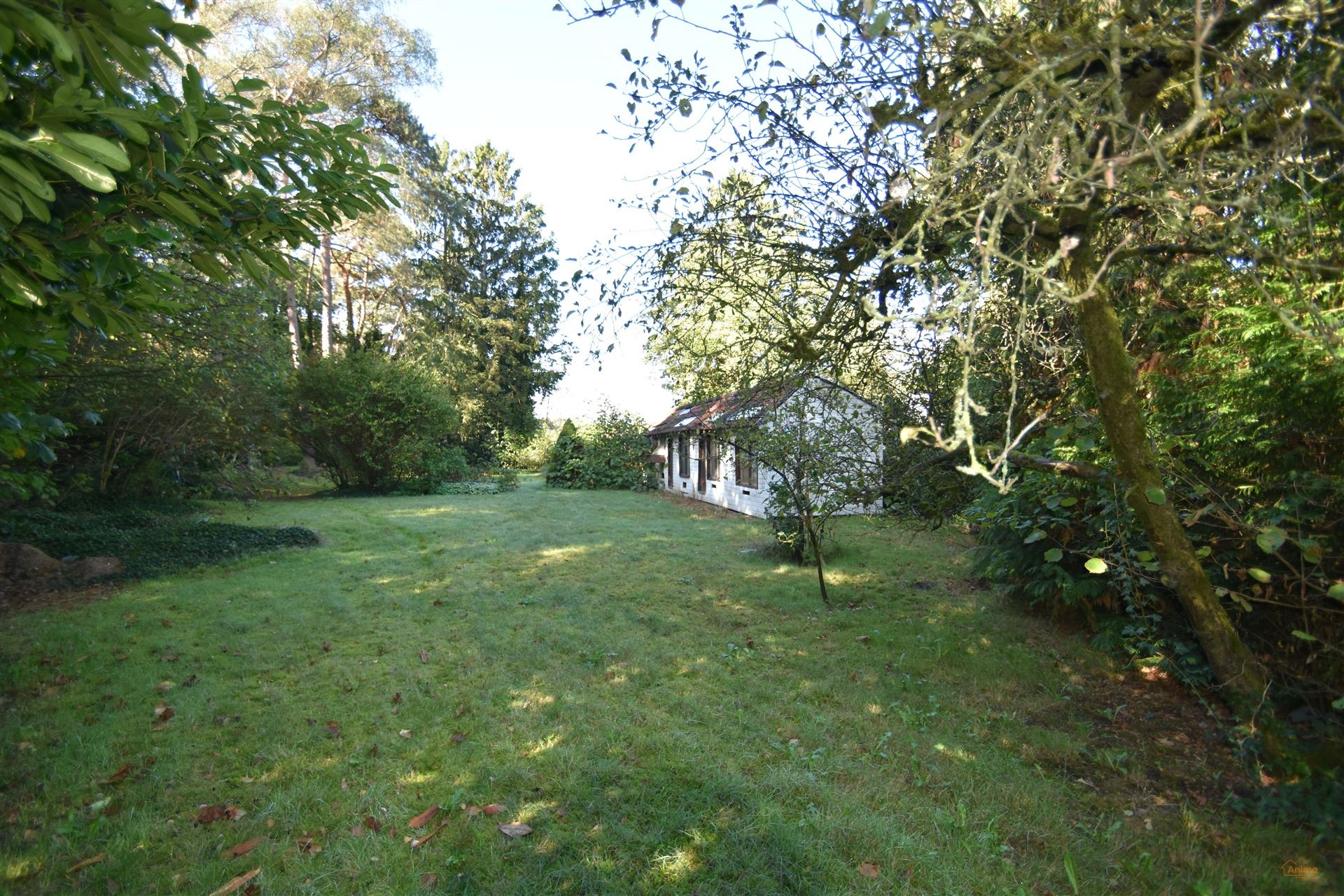 Huis foto 7