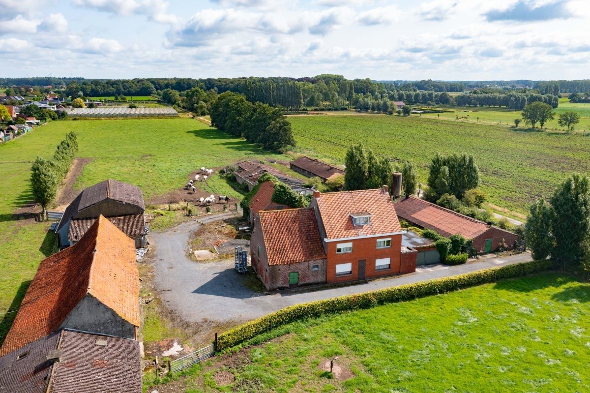 Hoevetje te koop op 1 ha te Zedelgem nabij dorpskern Veldegem foto 2