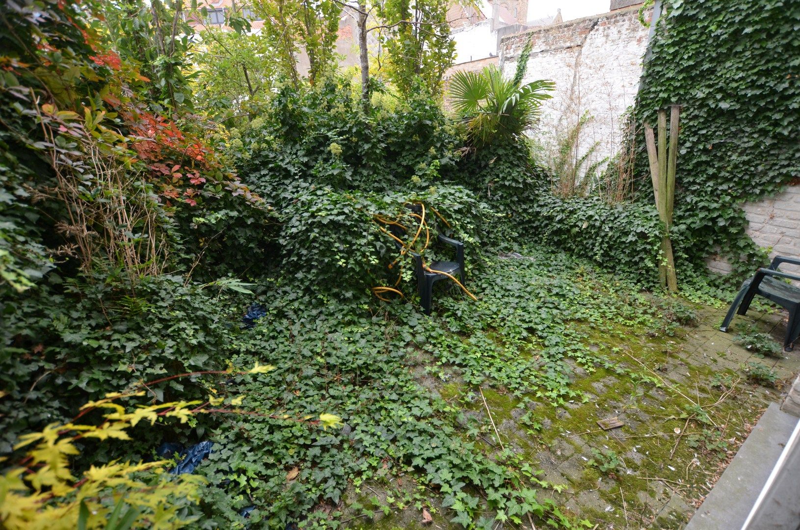 Instapklare kangoeroe-woning foto 16