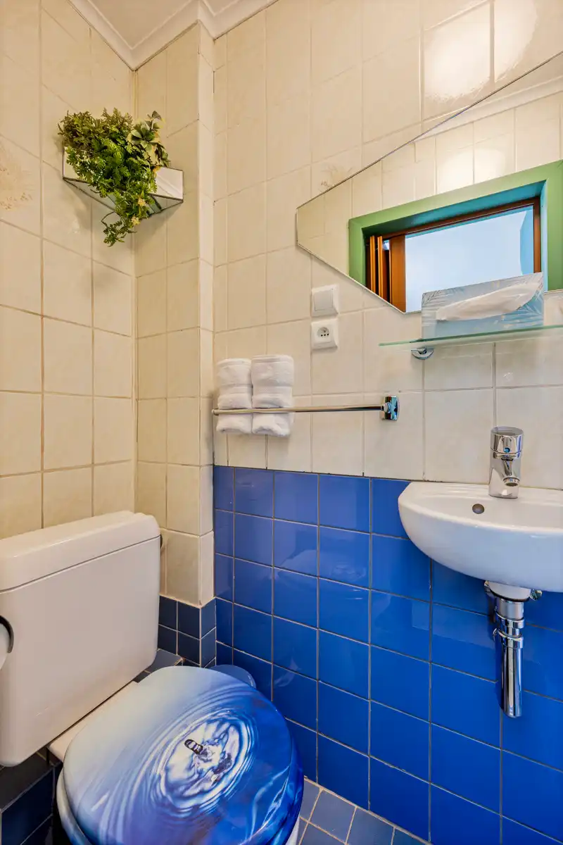 WONING MET 9 KAMERS en 9 BADKAMERS foto 31