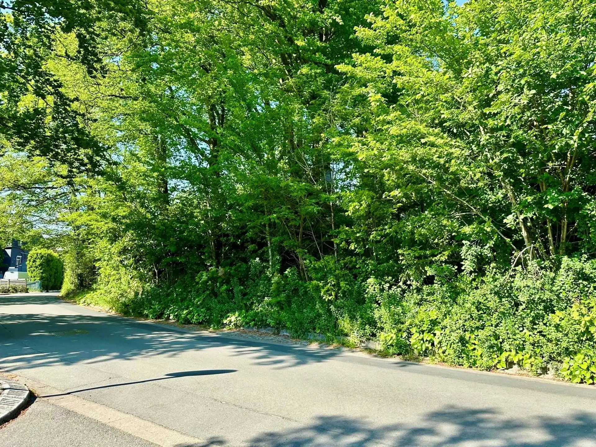 Grond te koop Chemin du Renard - 7750 ORROIR