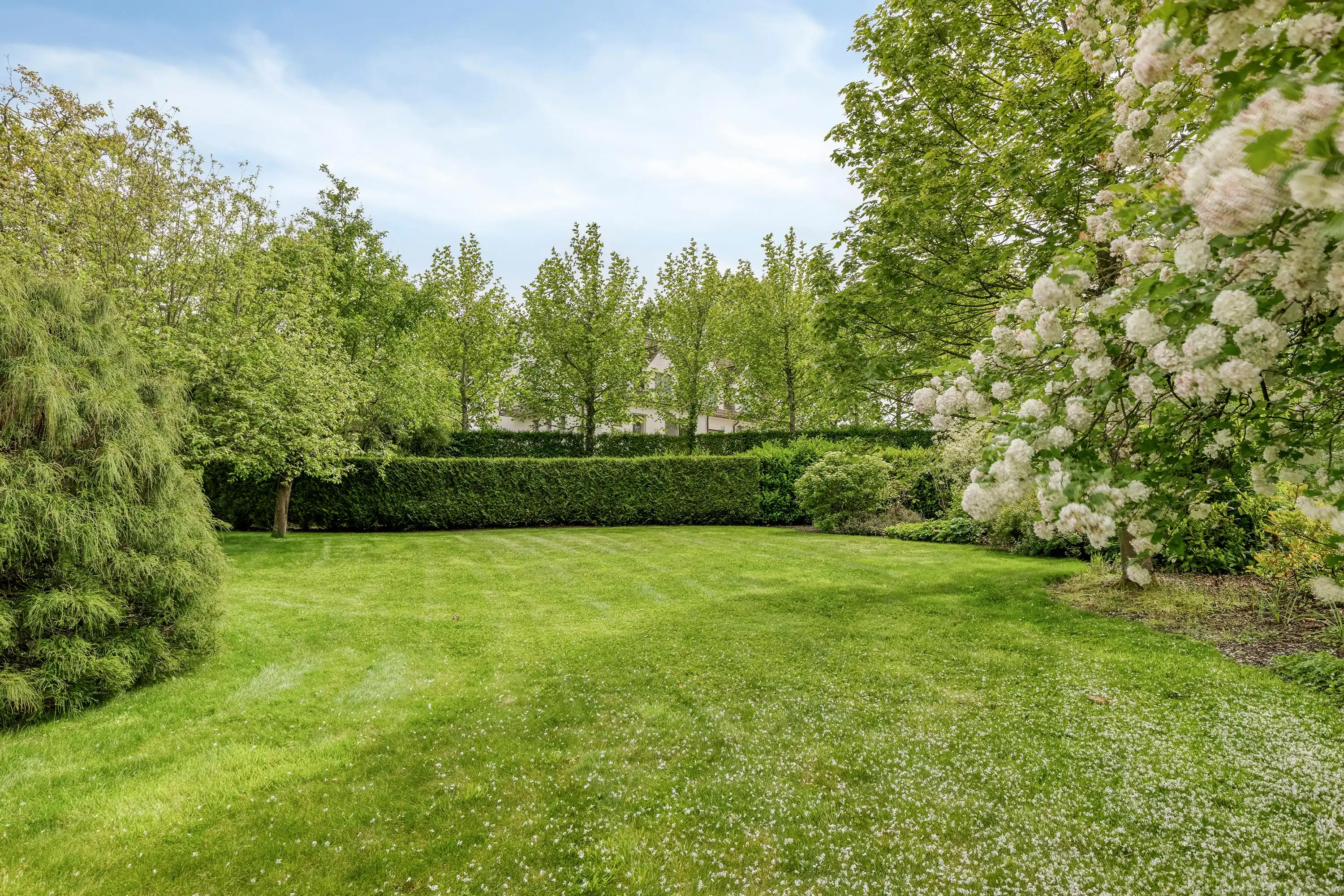 Villa op ruim perceel in Ronse te koop!  foto 17