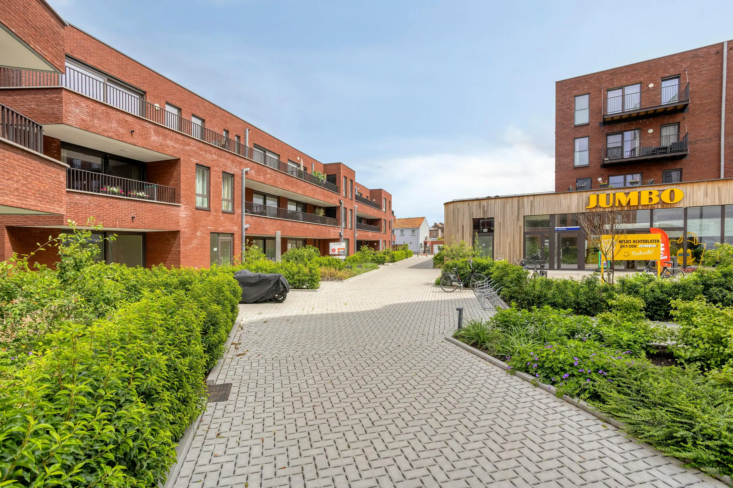 Parkview Boom foto 5