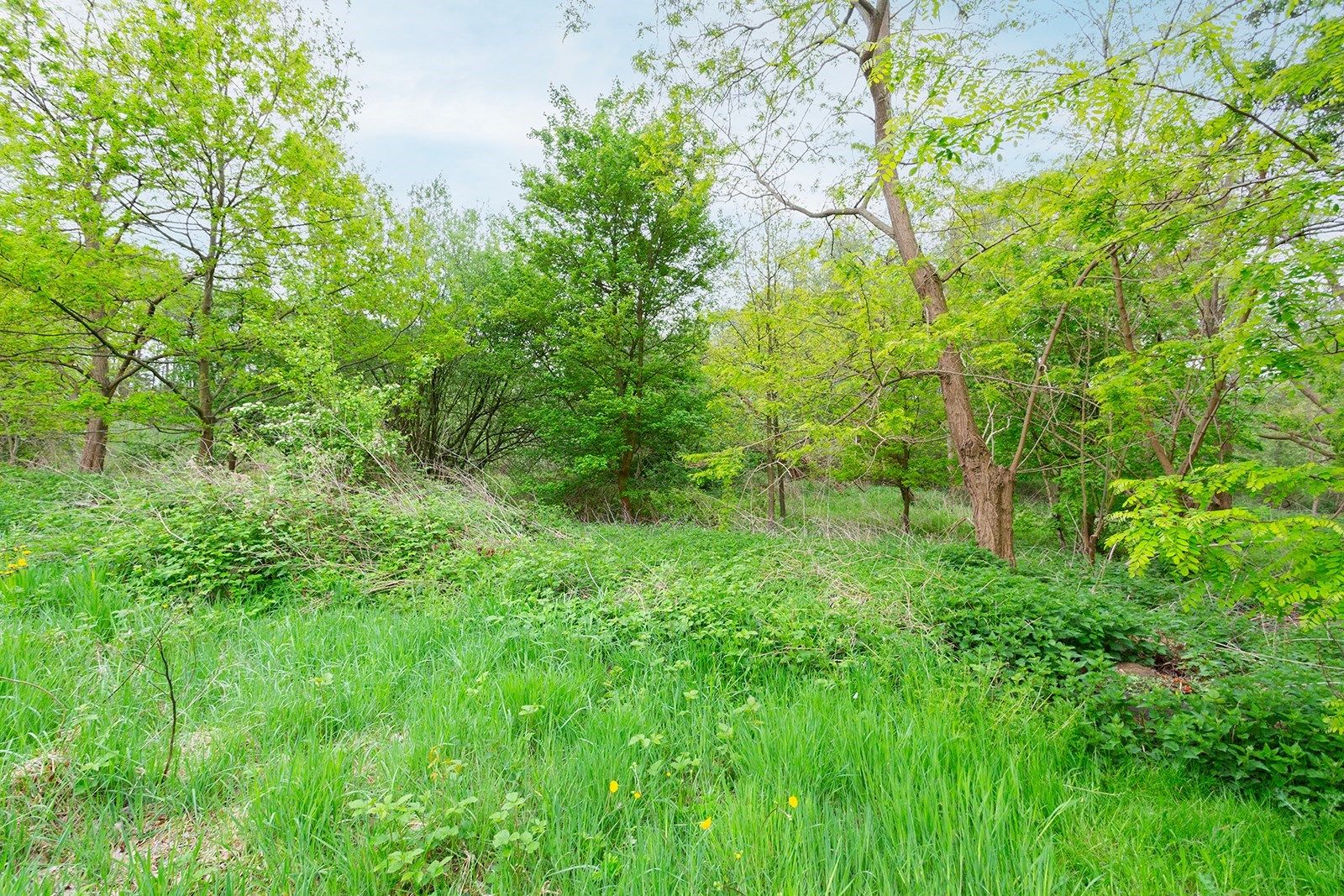 Aangenaam gelijkvloers appartement met groen en open uitzicht! foto 15
