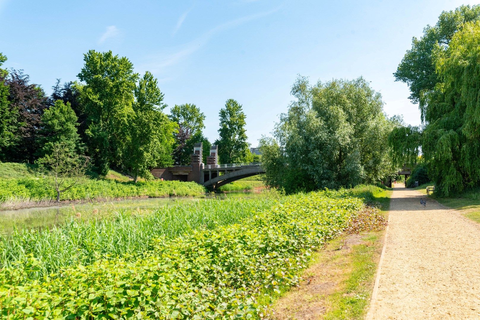 Appartement met uitzicht op 38 kleurrijke papegaaien! foto 15