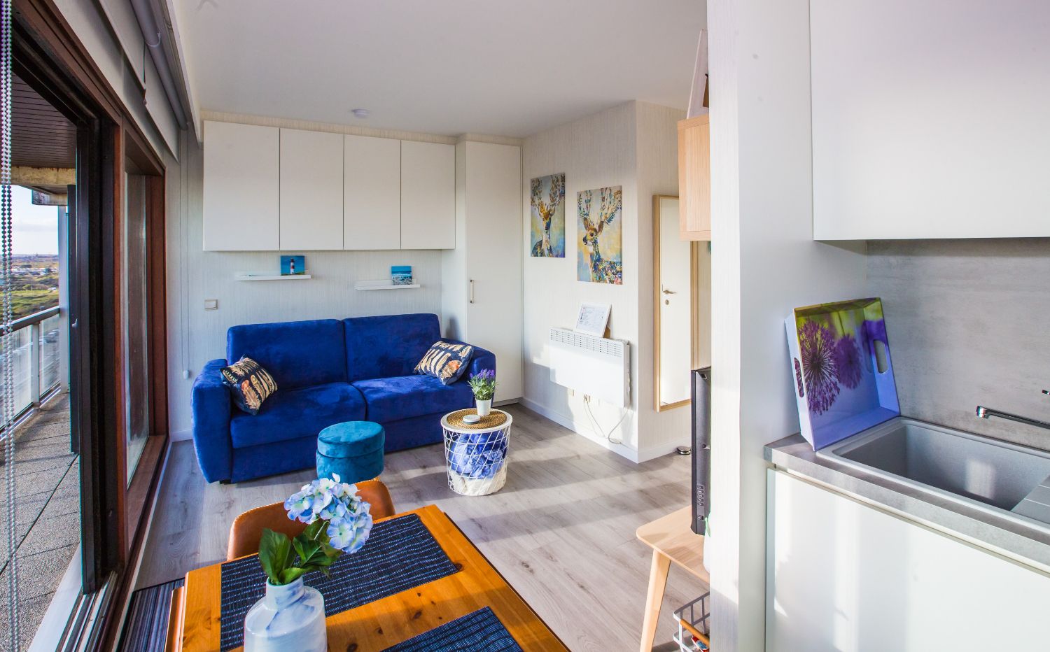 Knusse studio met fenomenaal duinenzicht foto 13