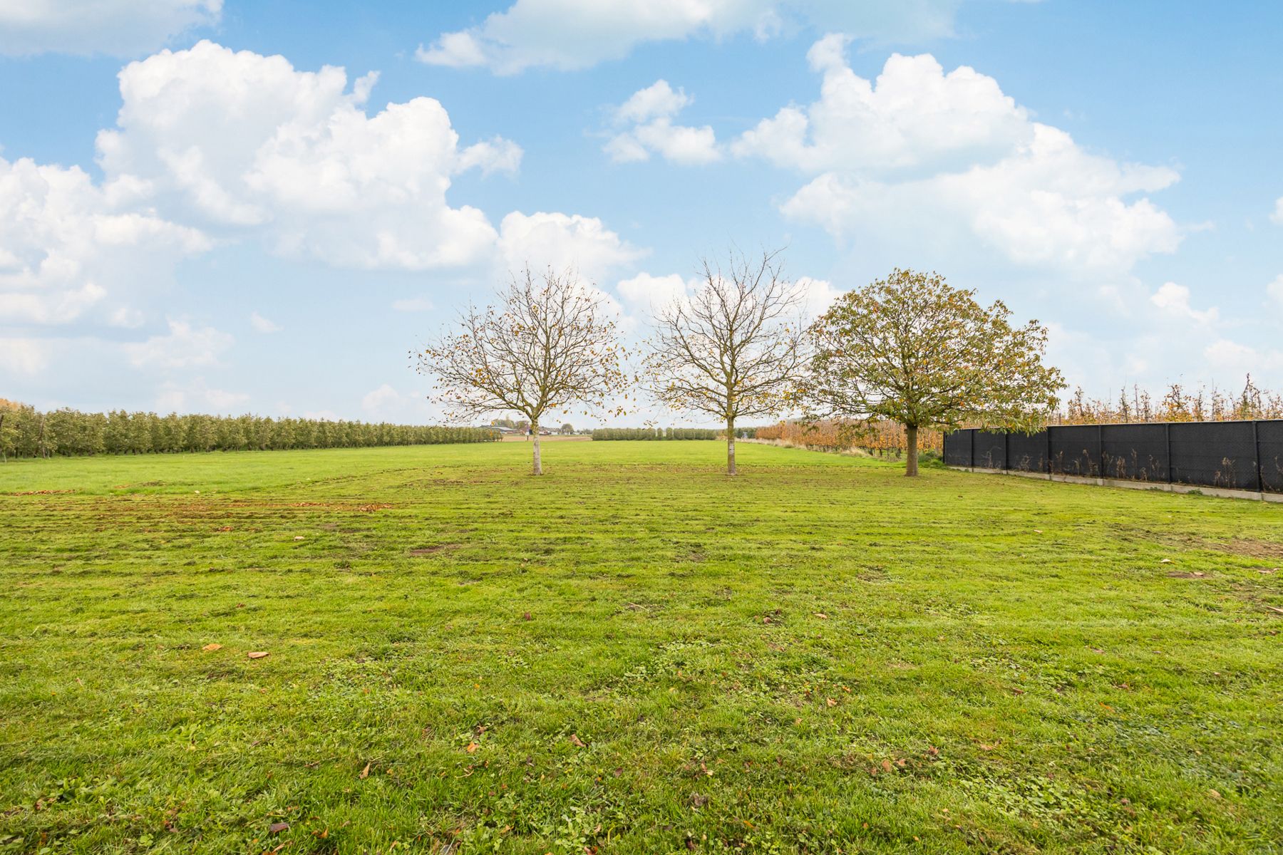 Huis te koop foto 38