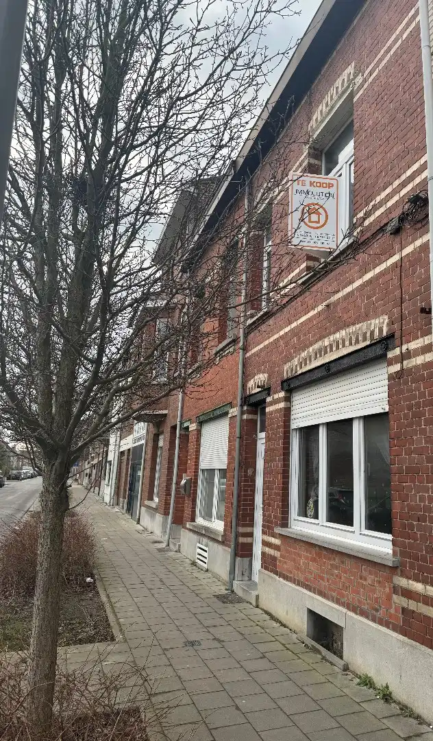 Hoofdfoto van de publicatie: Ruime woning met megatuin.