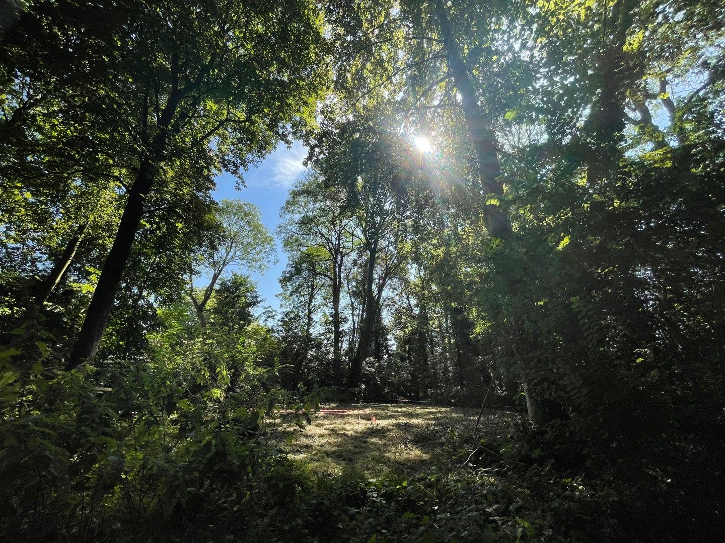 Residentieel gelegen bouwgrond in groene omgeving foto 5