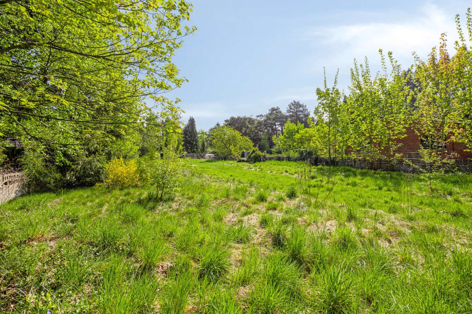 Prachtig gelegen bouwgrond van 1.277 m² voor ruime open bebouwing ! foto 8