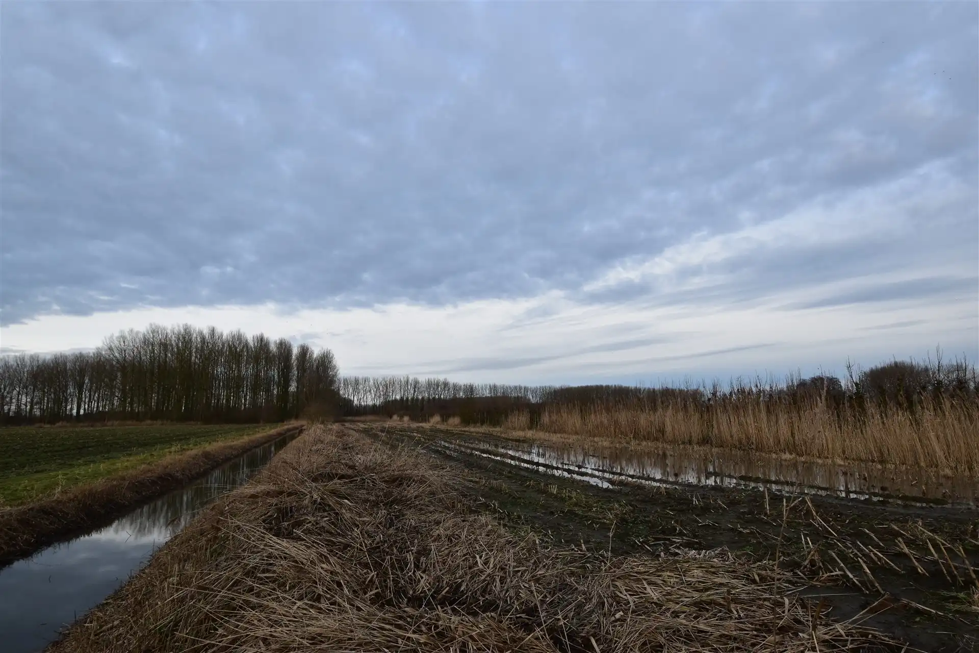 Landbouwgrond in Moerzeke foto 3