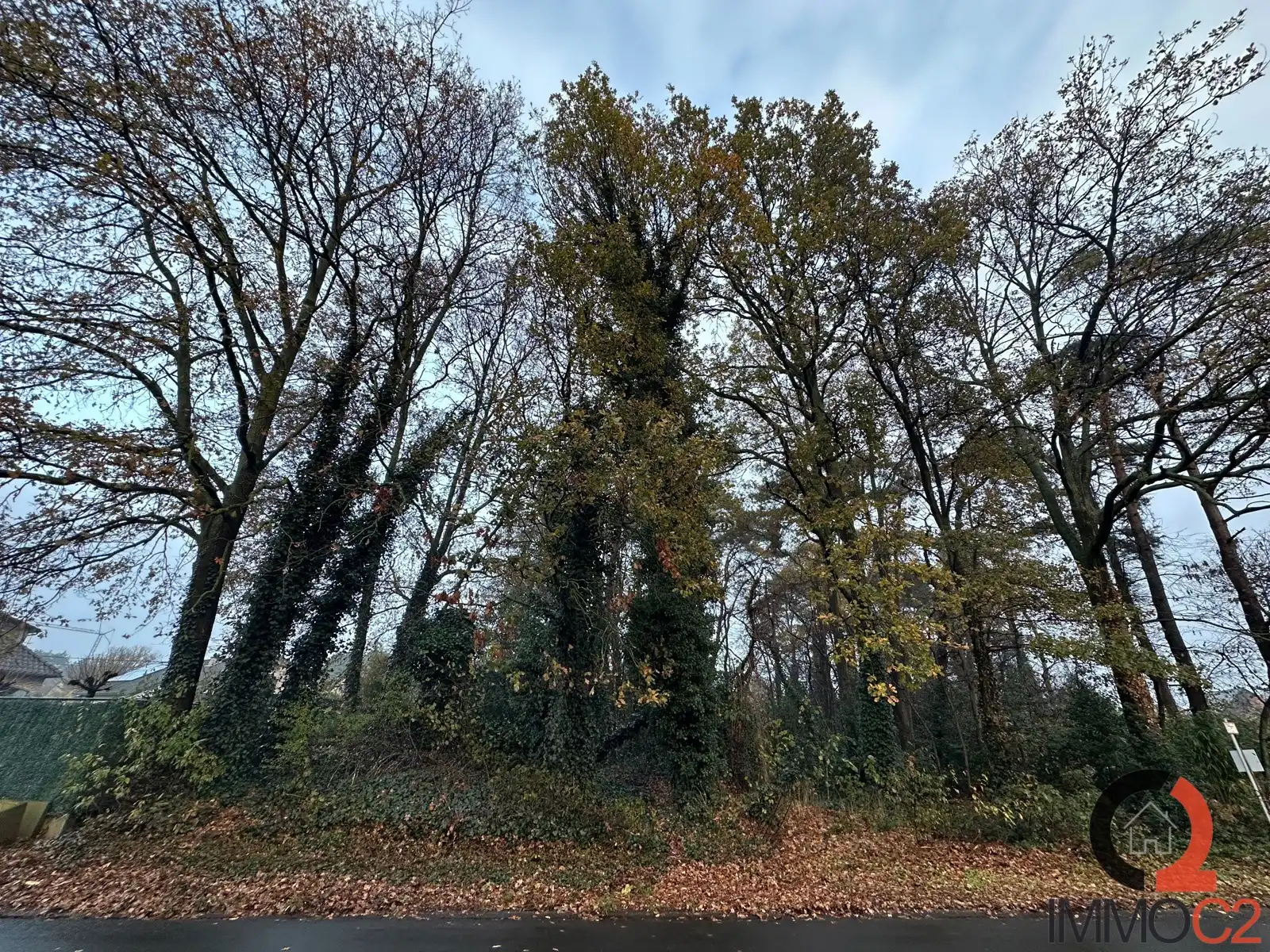 Grond te koop foto 2