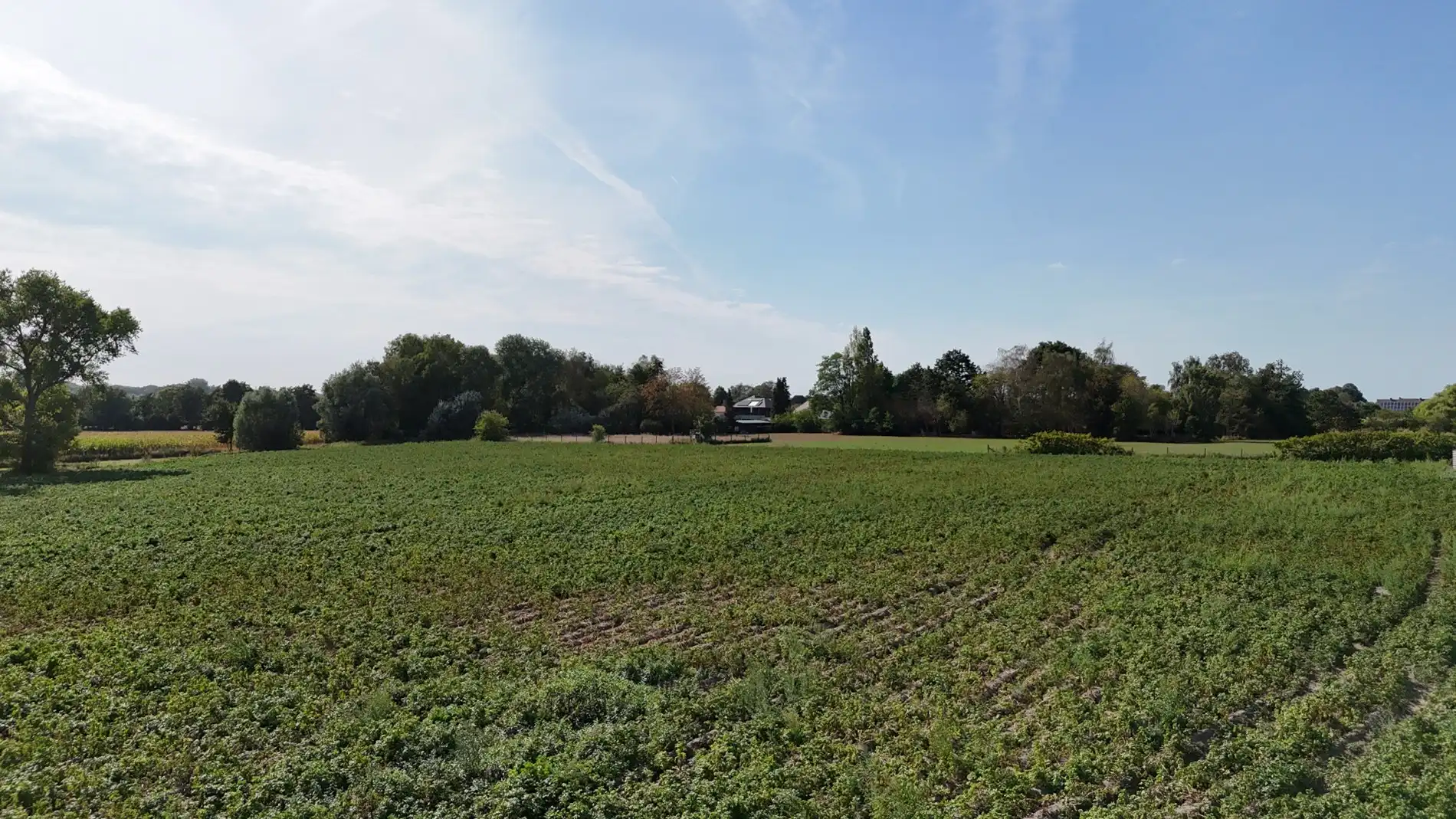 Landbouwgrond te koop van 2,88 ha te Koekelare Vrij van pacht na seizoen foto 6