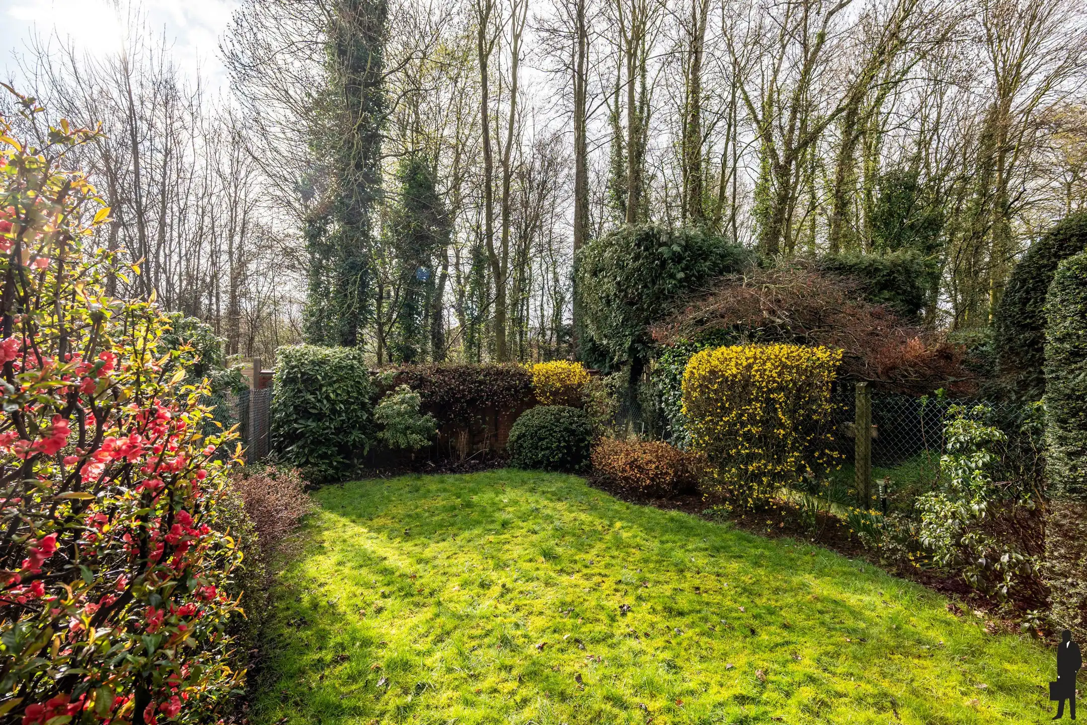Charmante woning met 2 slpk en prachtig groen zicht foto 2
