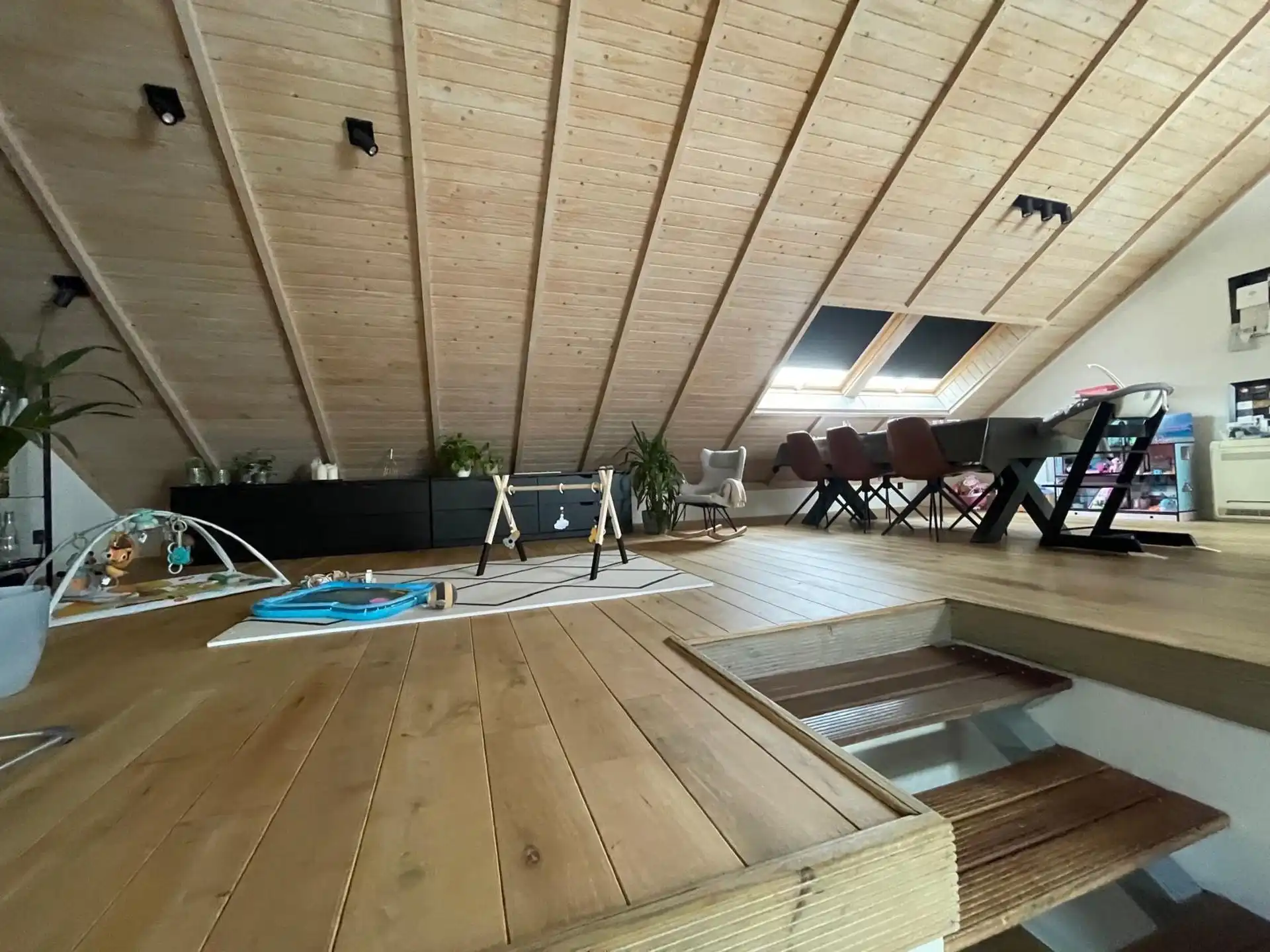 SERSKAMP - Luxueuze loft met groot terras. foto 6