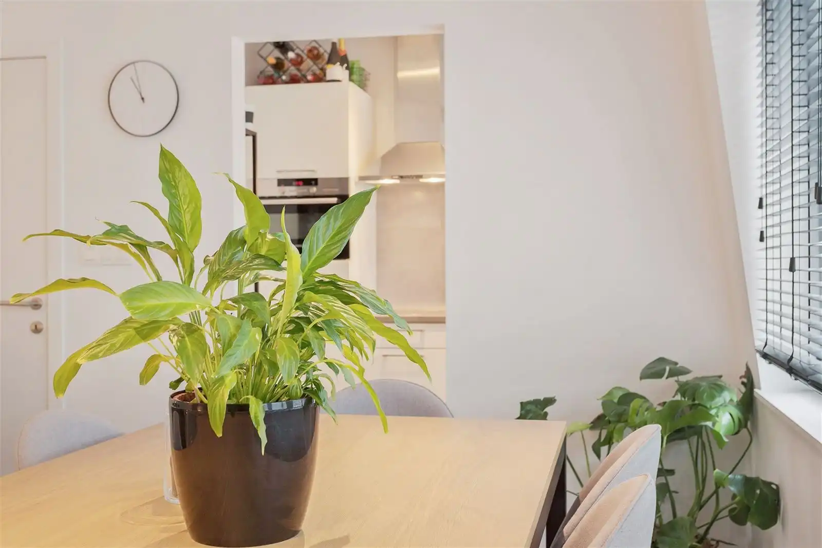 FURNISHED 1 BEDROOM CITY APARMTENT! foto 10