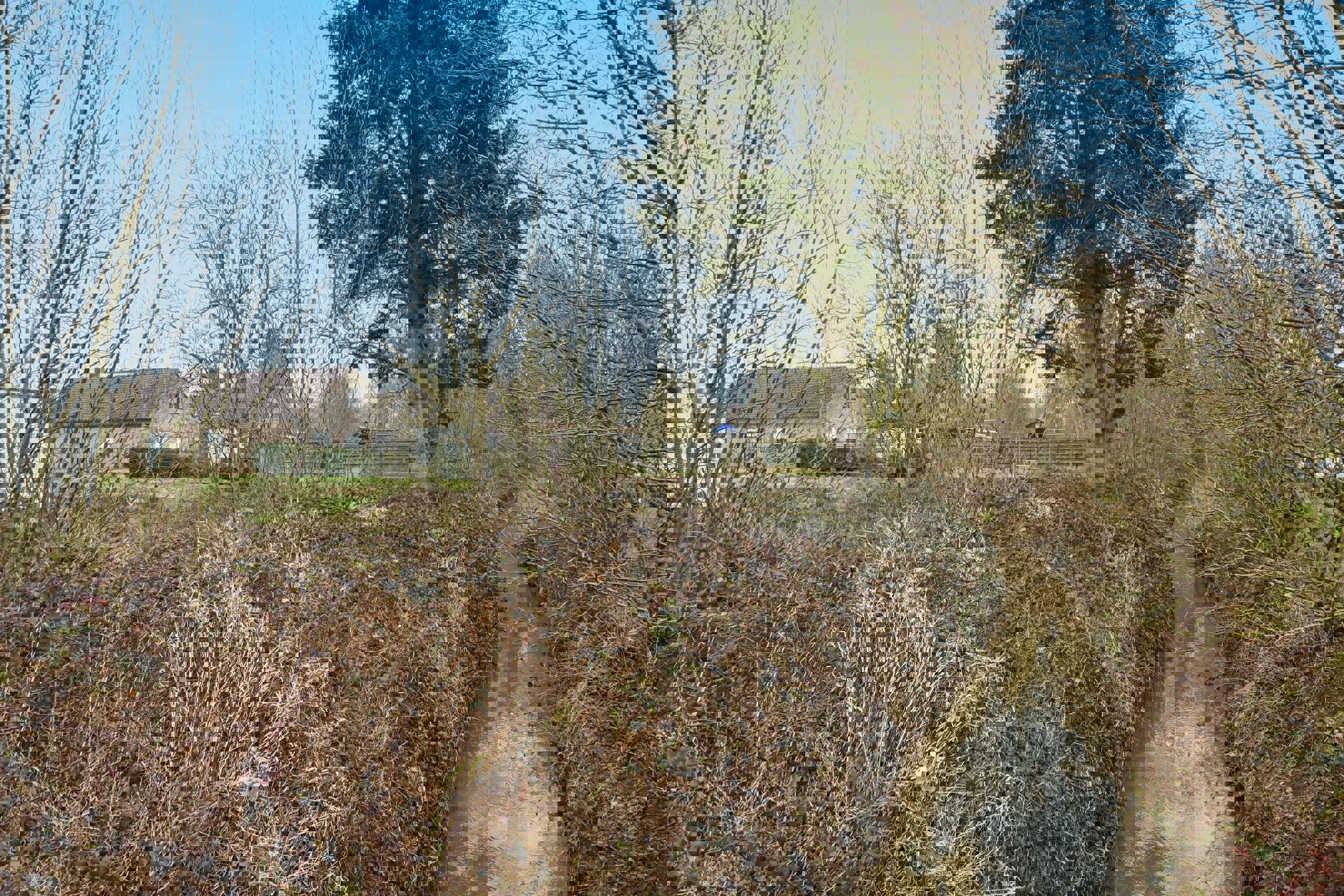 Grond te koop foto 5