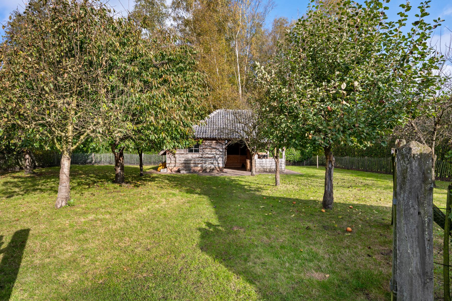 Prachtige instapklare villa met zwembad en poolhouse. foto 32
