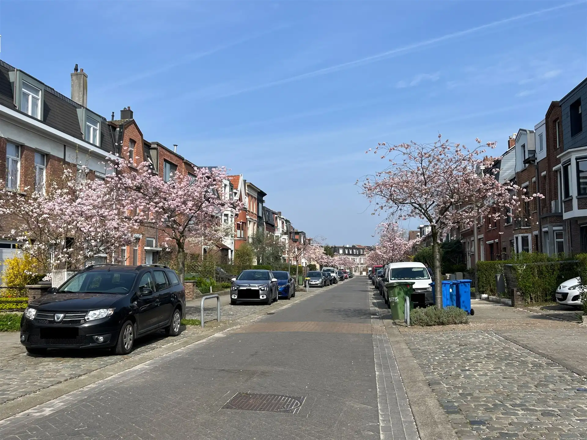 Appartementsgebouw met parking en zeer grote tuin! foto 2