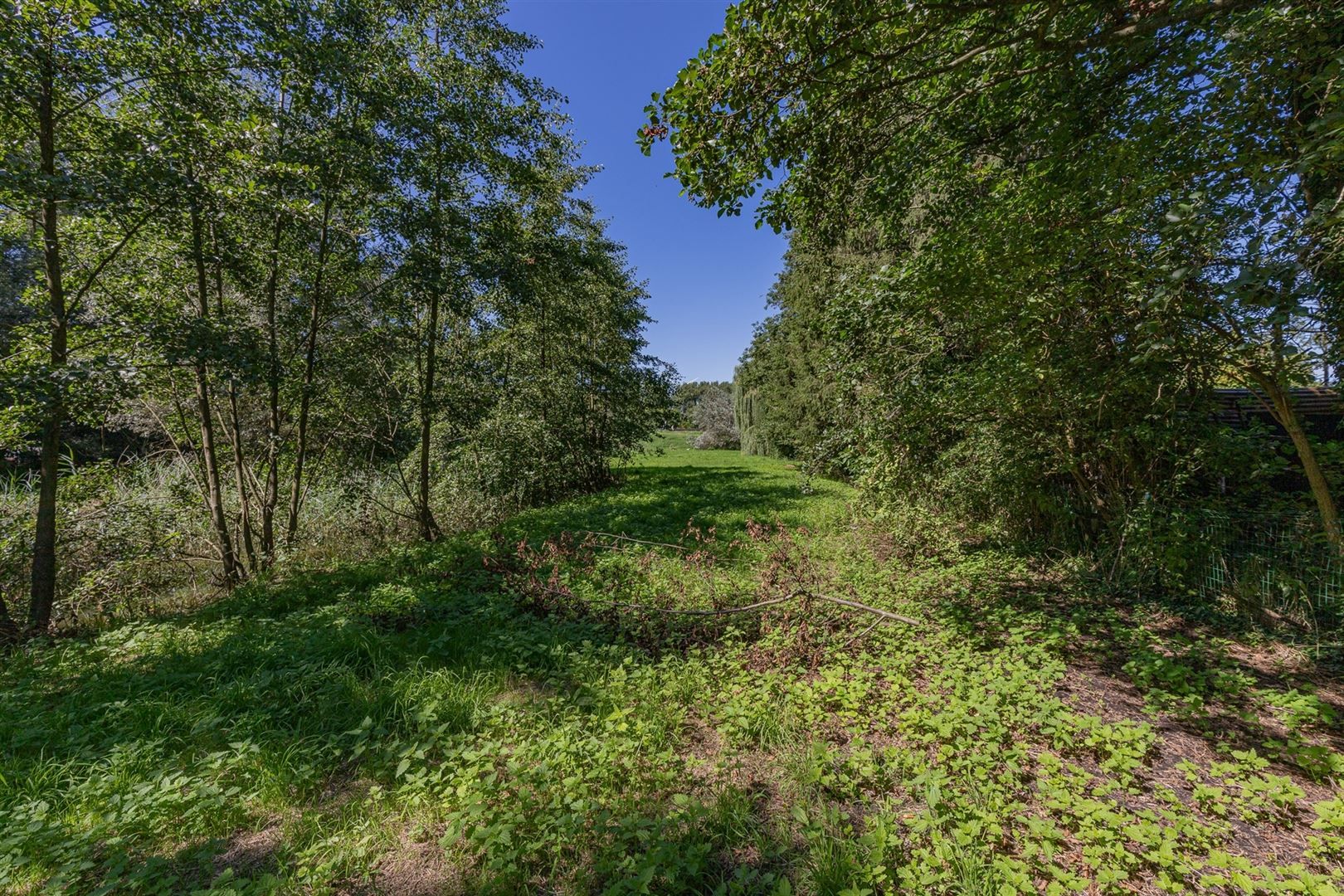 Exclusieve bouwgrond te koop Sint-Onolfsdijk, Dendermonde foto 13