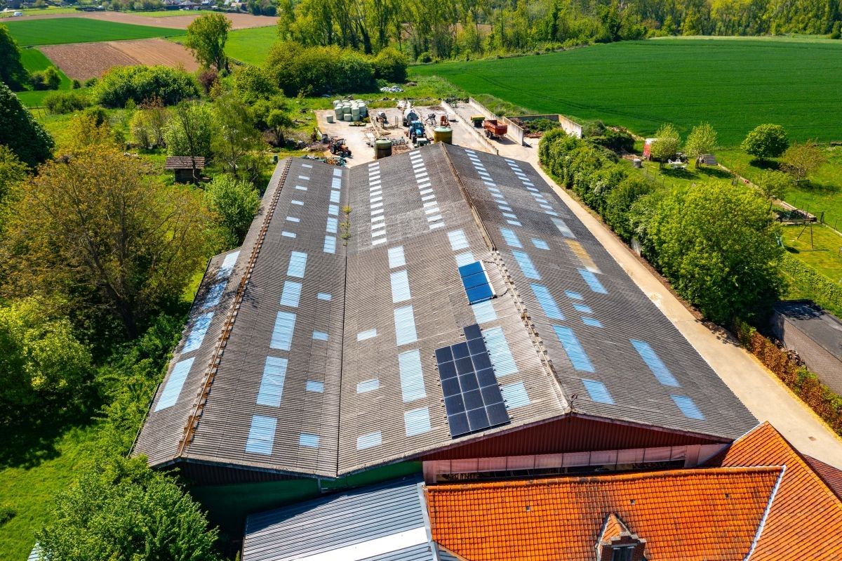 Hoeve met ruime stallen te koop te Zottegem op 4,68 ha foto 5
