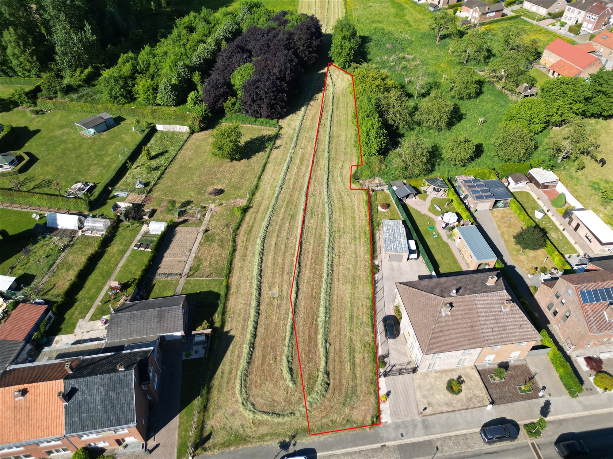 ()=>{if(producerUpdateValueVersion(node),producerAccessed(node),node.value===ERRORED)throw node.error;return node.value} Tomstraat 55 - 3700 TONGEREN