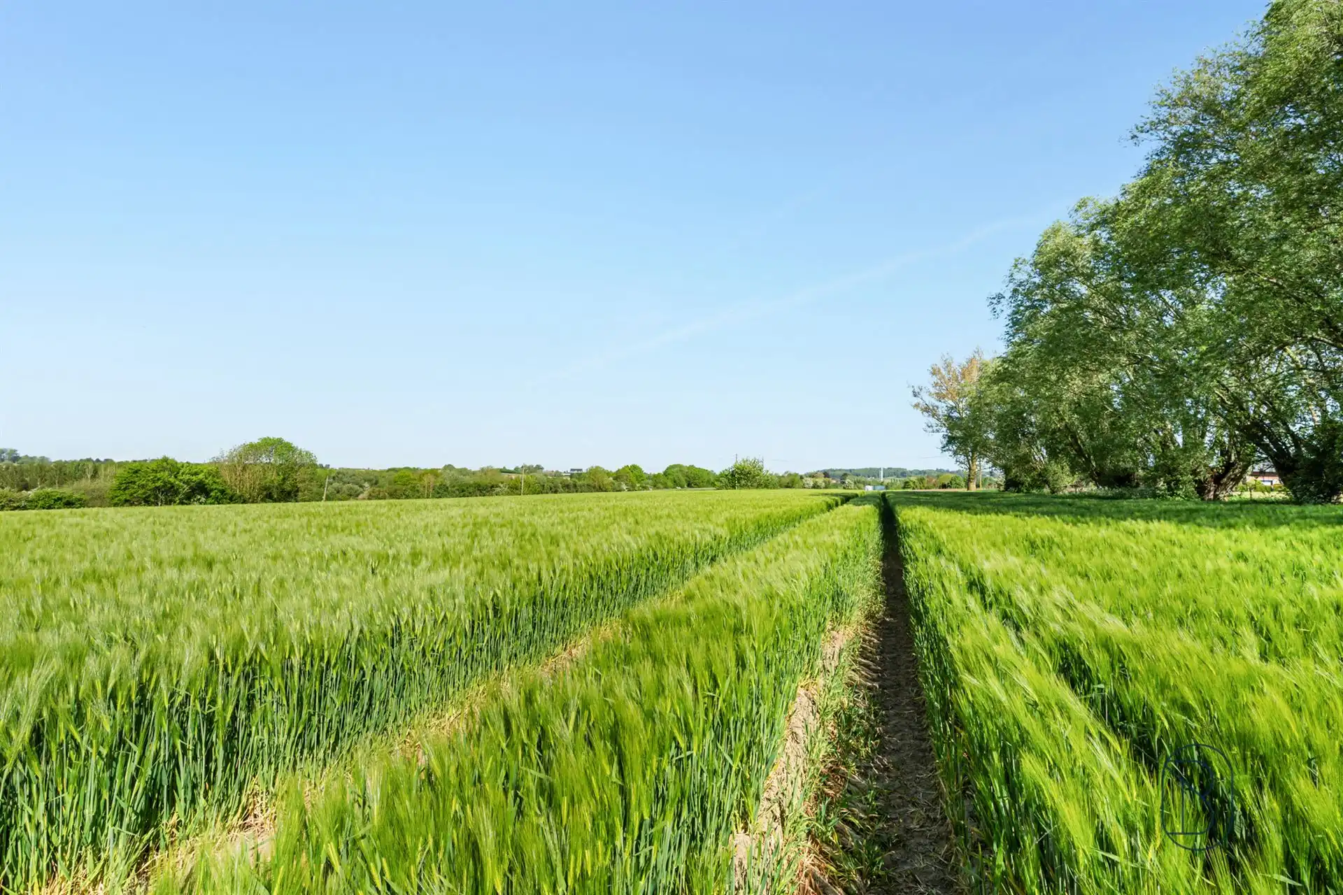 Bouwgrond ± 6.100 m² – opportuniteit met prachtig zicht! foto 3