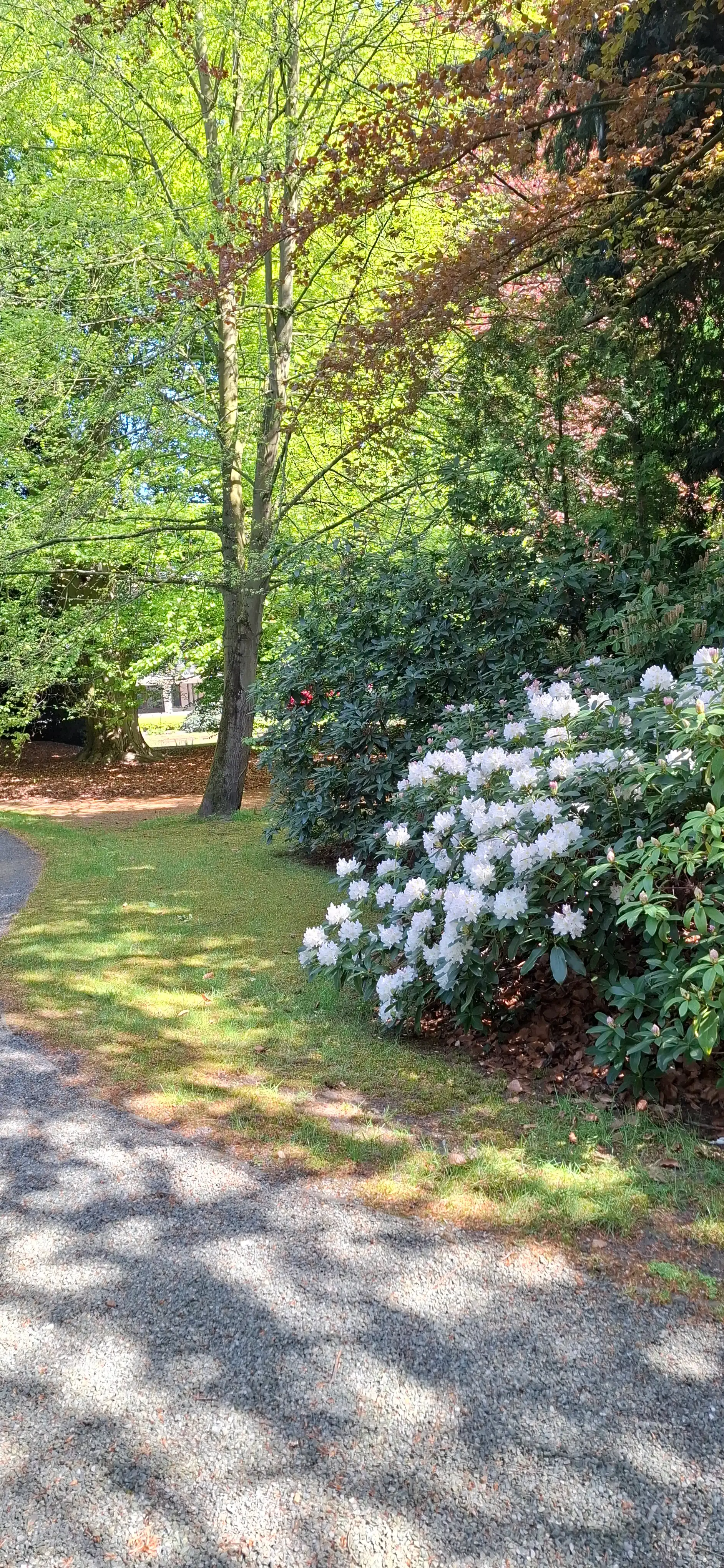 Zonnig appartement in Kapellen te koop foto 8