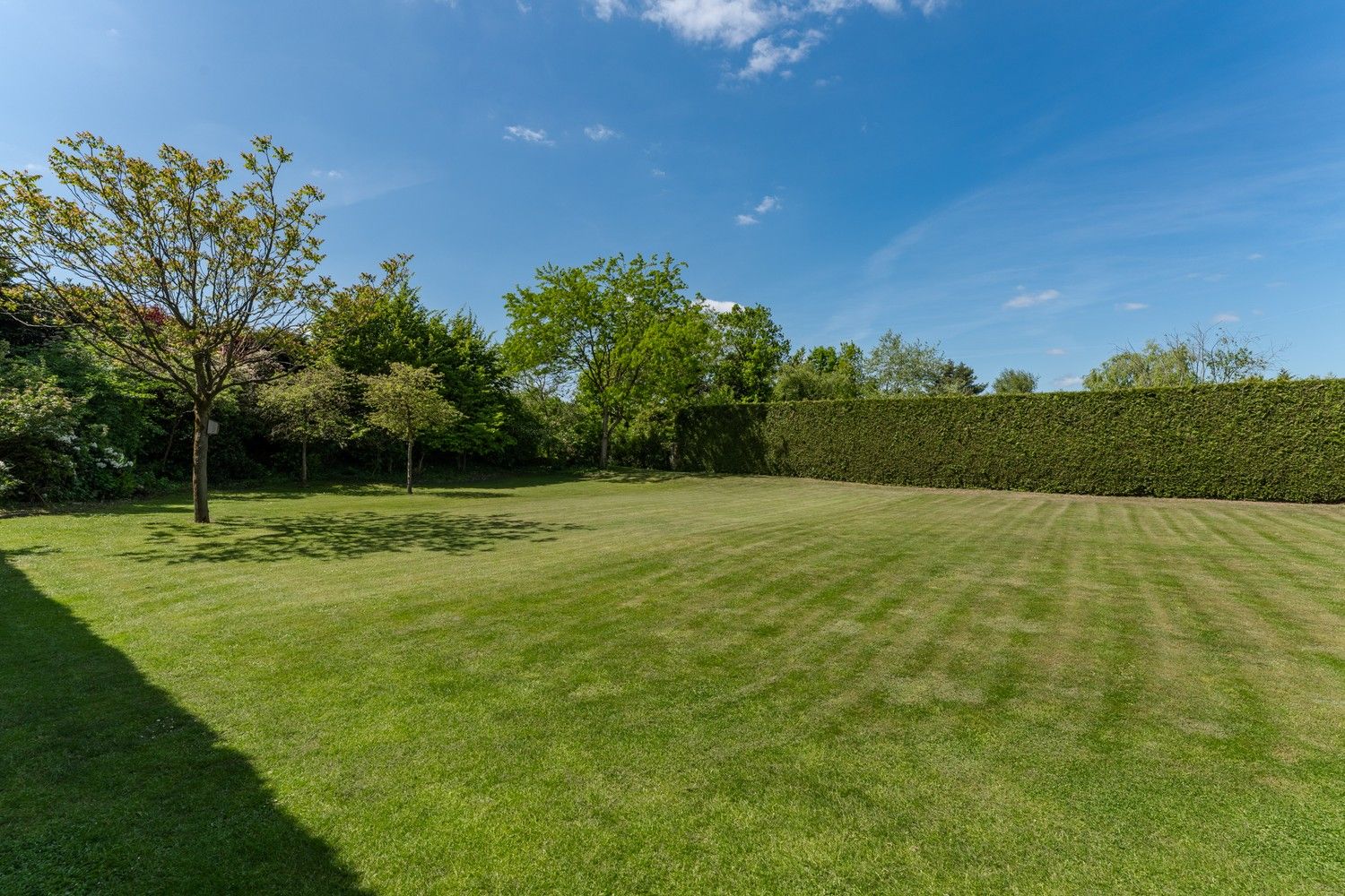 Villa landhuis op een gunstige locatie vlakbij de Nederlandse grens! foto 37