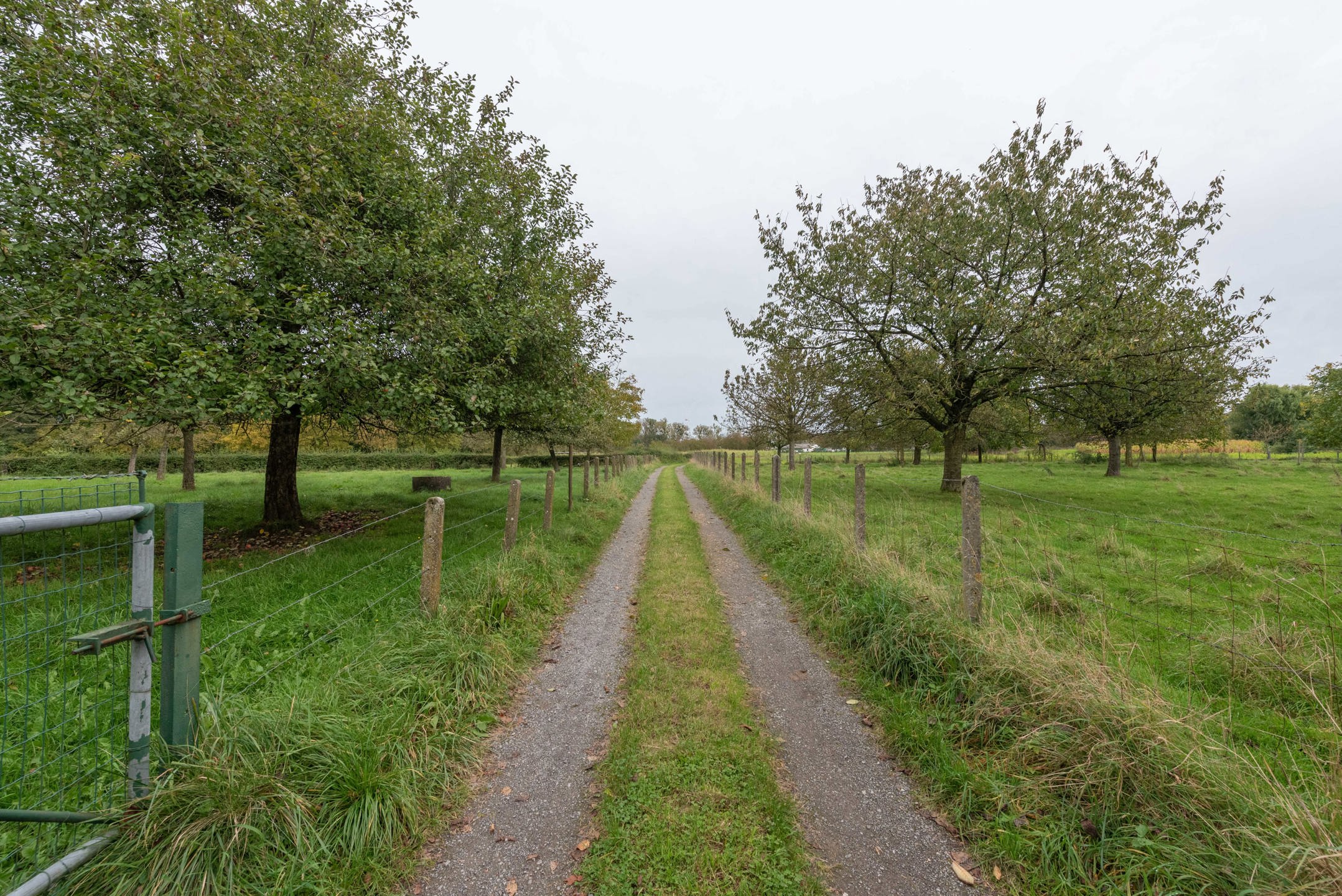 OB met paardenweide op 22a36ca te Membruggen foto 28
