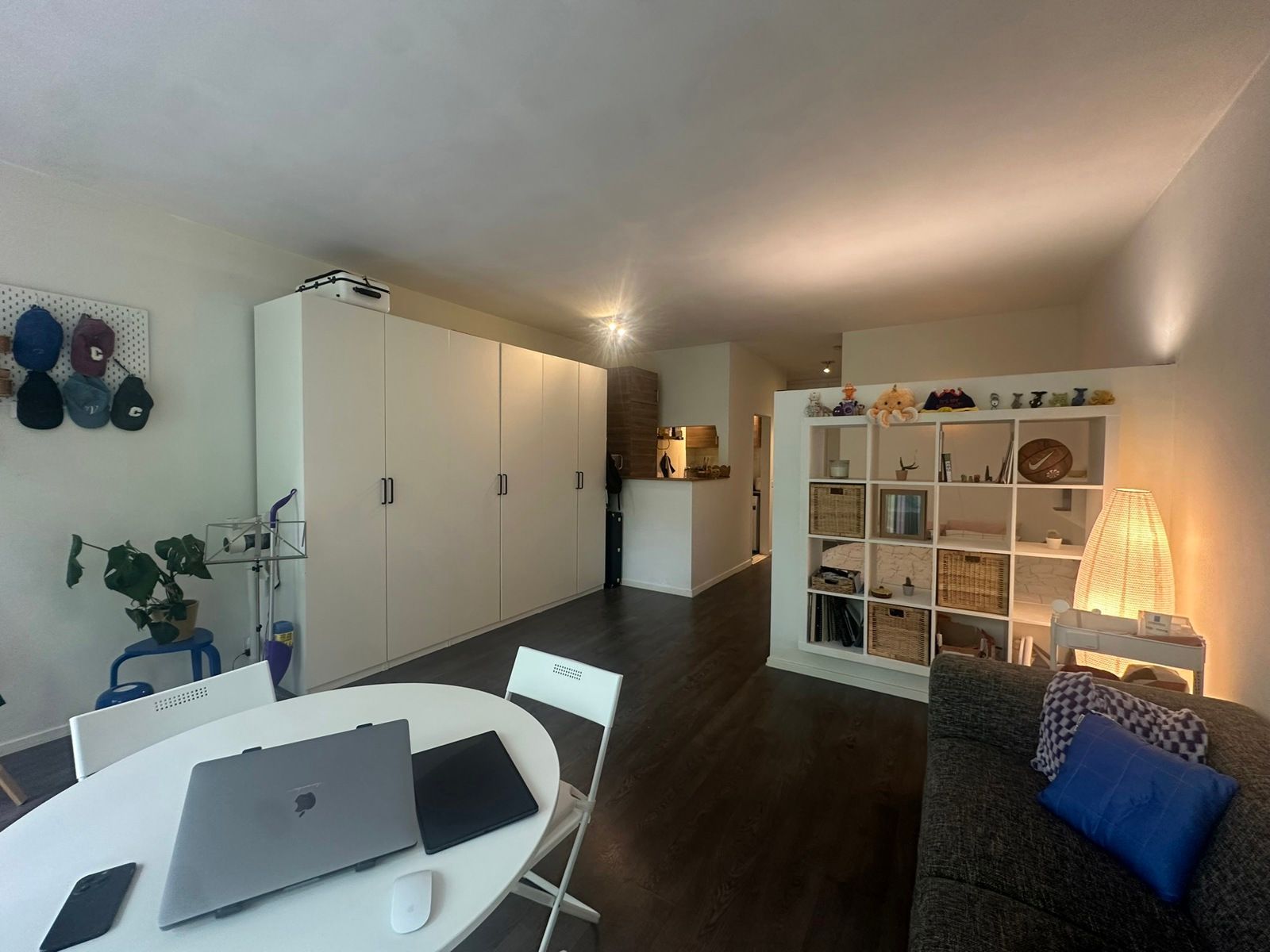 Ruime studio (56m²) met prachtig uitzicht aan het stadspark foto {{pictureIndex}}