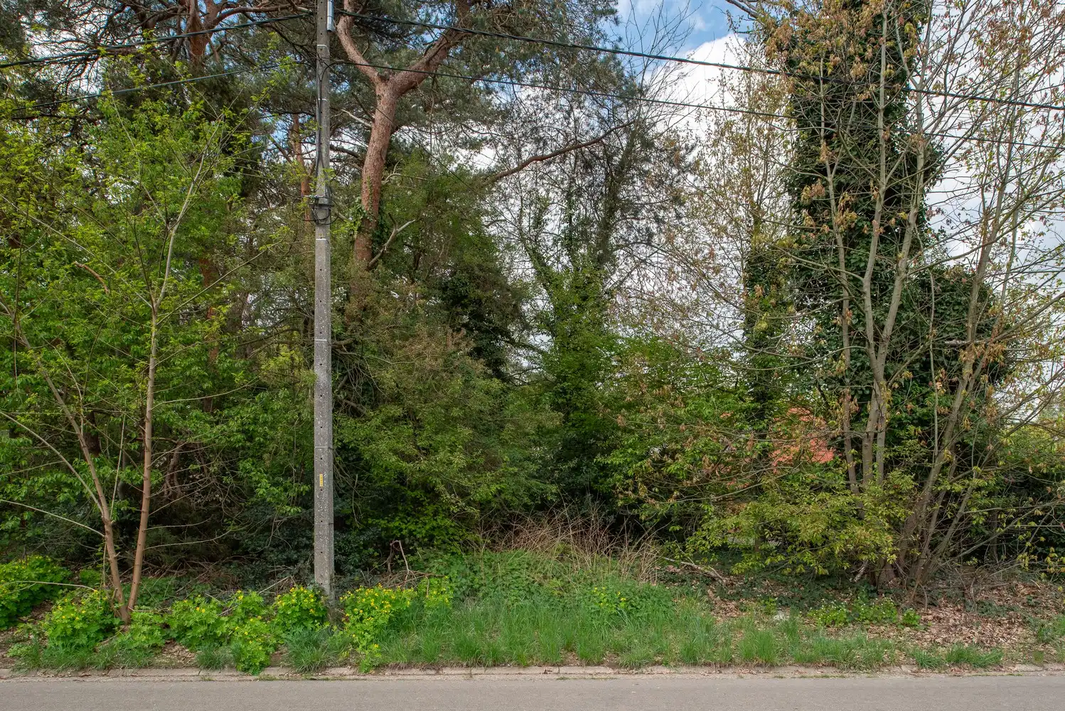 Mooie bouwgrond voor open bebouwing: LOT 1 foto 9