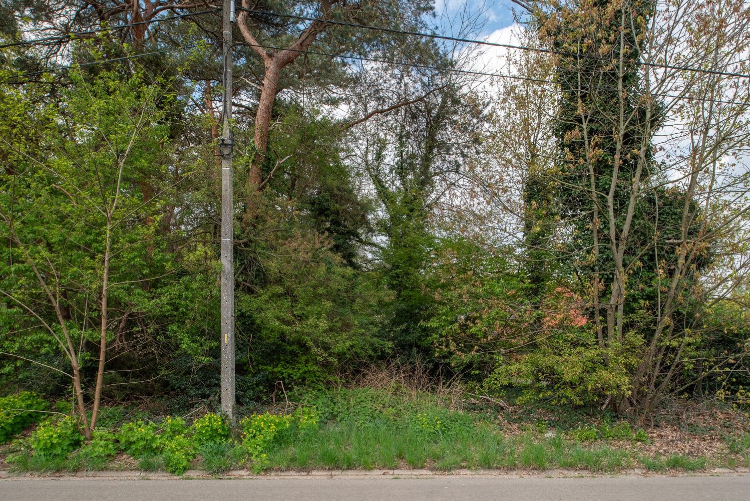 Mooie bouwgrond voor open bebouwing: LOT 1 foto 9