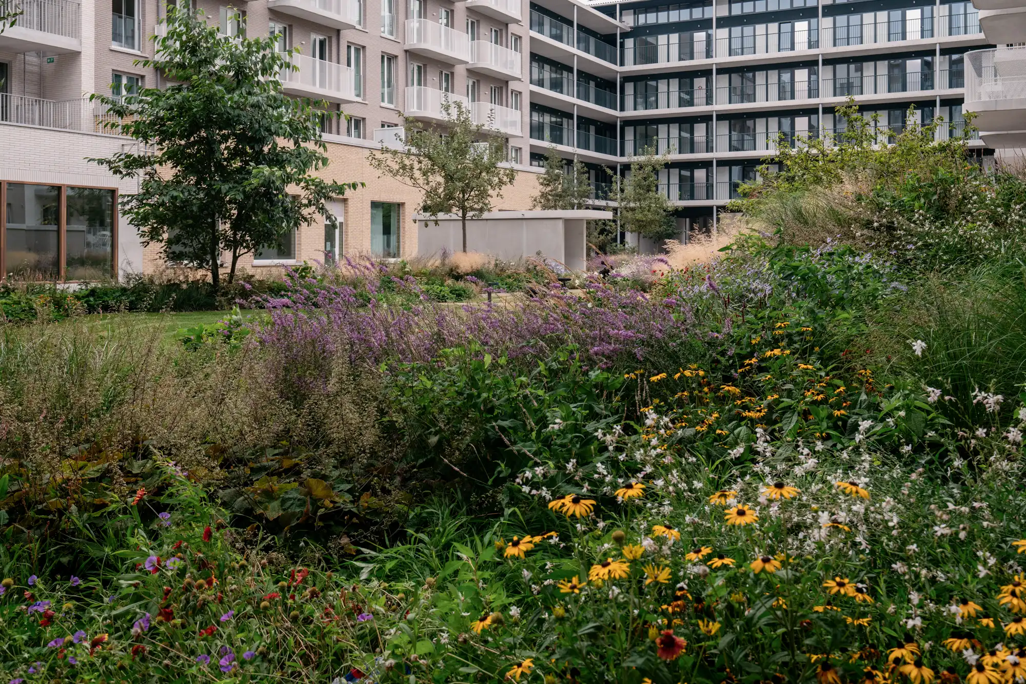 Appartement te huur Eugène De Plynstraat 15 - 2060 Antwerpen