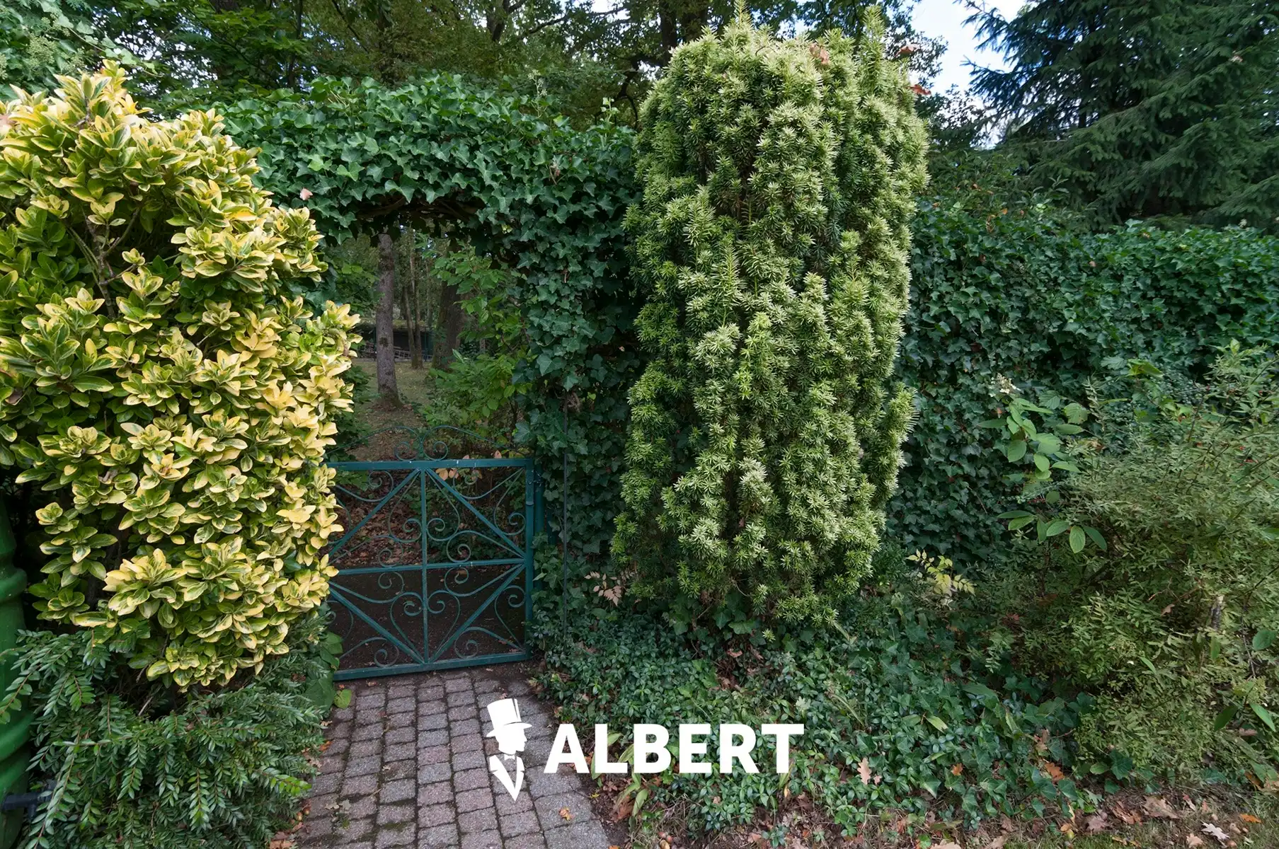 Leuke woning op toplocatie met mooie tuin en 4 slaapkamers! foto 26