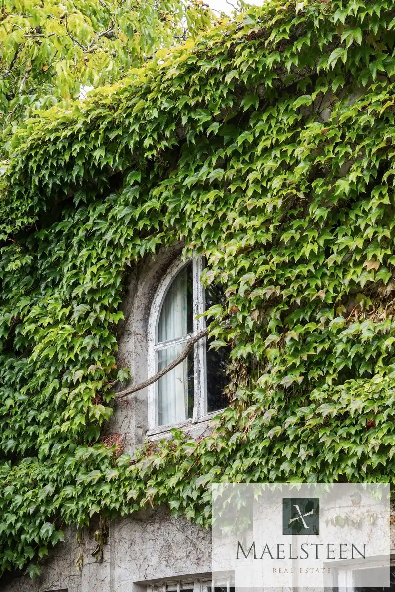 Historisch herenhuis op 3.611m2 in centrum Ruiselede foto 13