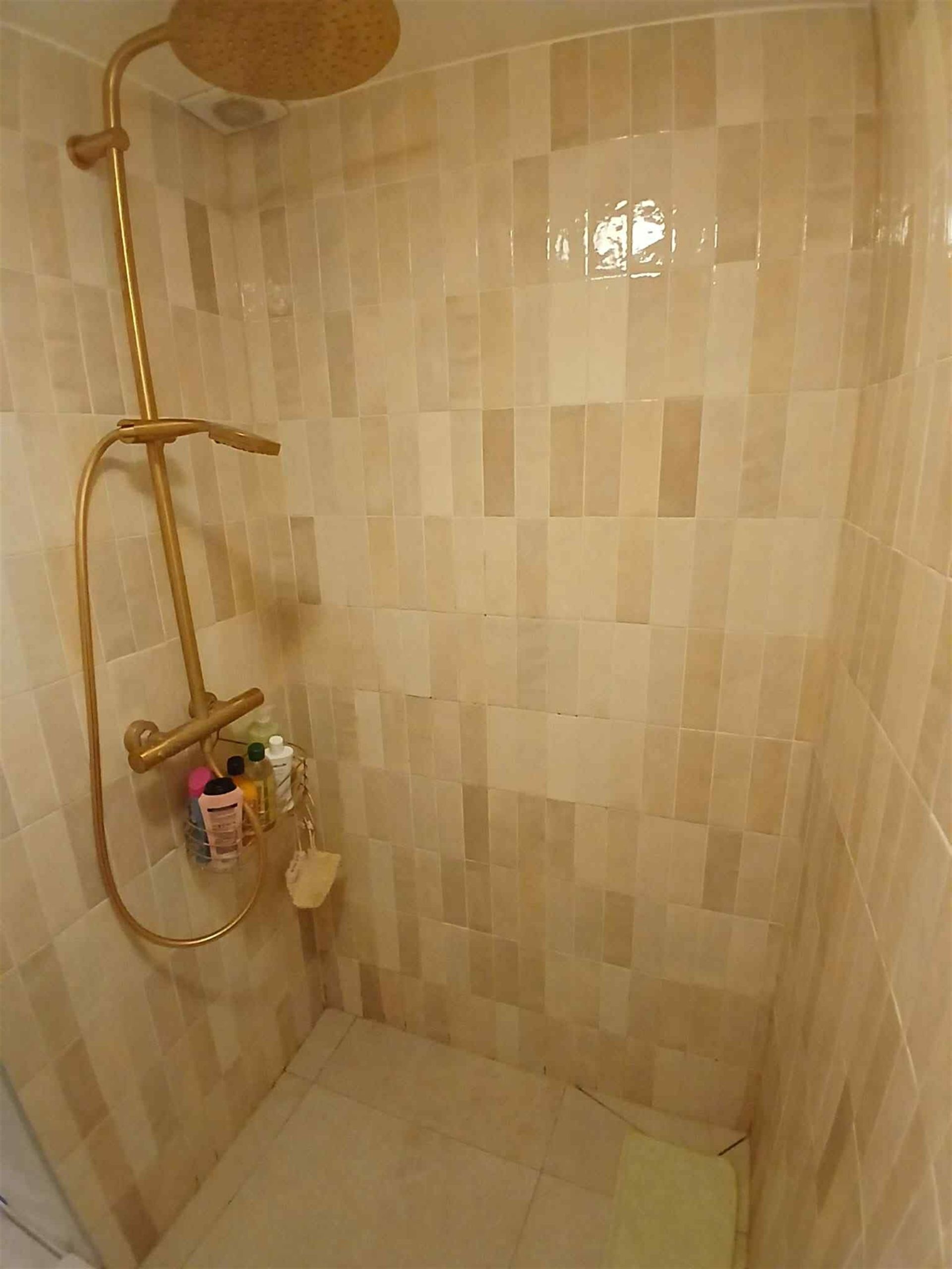 Opbrengsteigendom met twee appartementen, tuin en garage in Wemmel foto 21