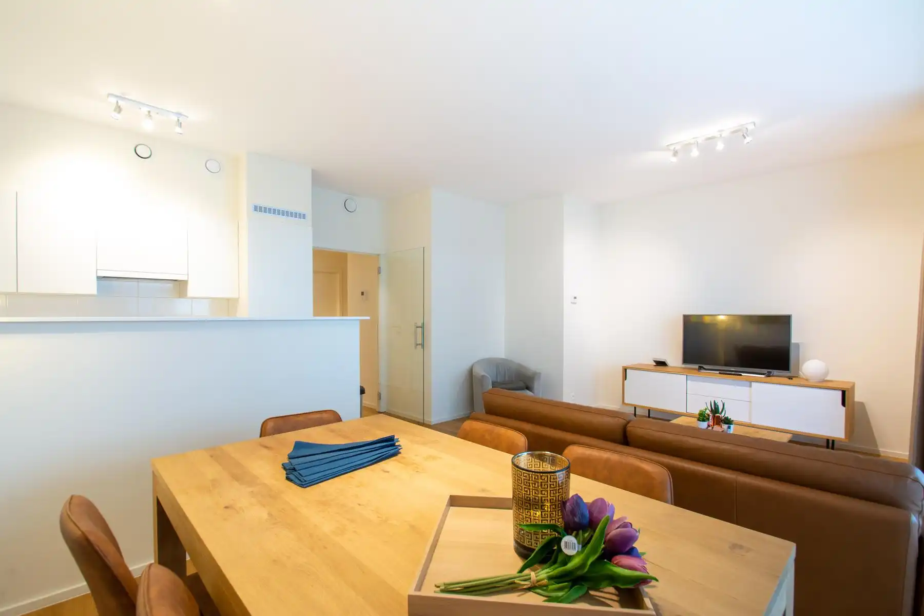 Prachtig appartement - 2 Kamers + TERRAS foto 4