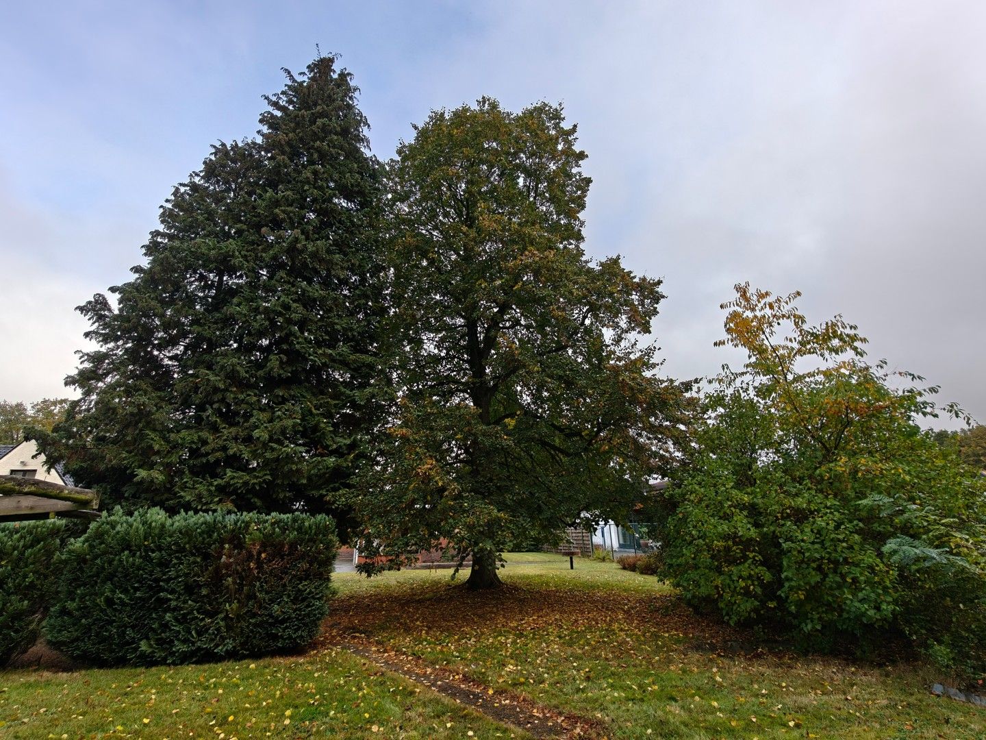 🏡 Te huur: Karaktervolle woning met 3 slaapkamers in Houthalen foto 5