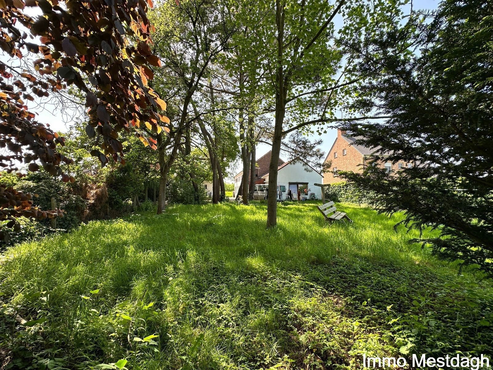 Ruime woning en tuinberging met potentieel in het landelijke Geetbets. foto 10