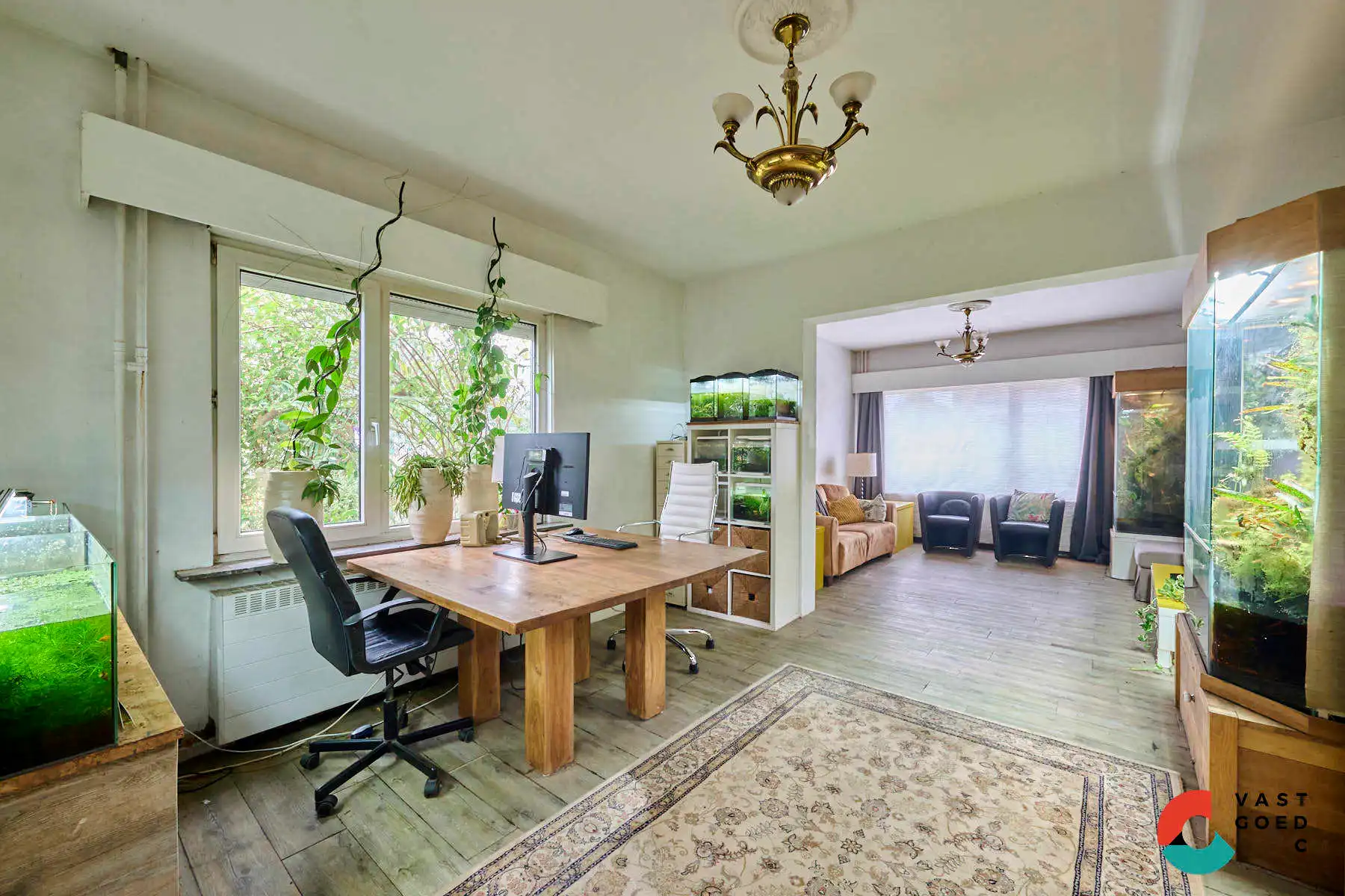Huis te koop foto 8