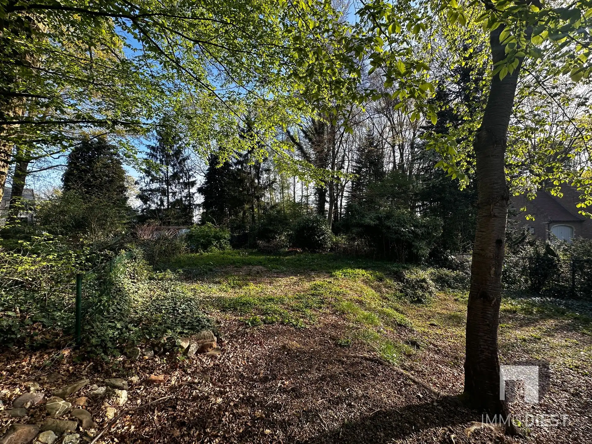 Te renoveren woning met 4 slaapkamers op Schellekensberg foto 2