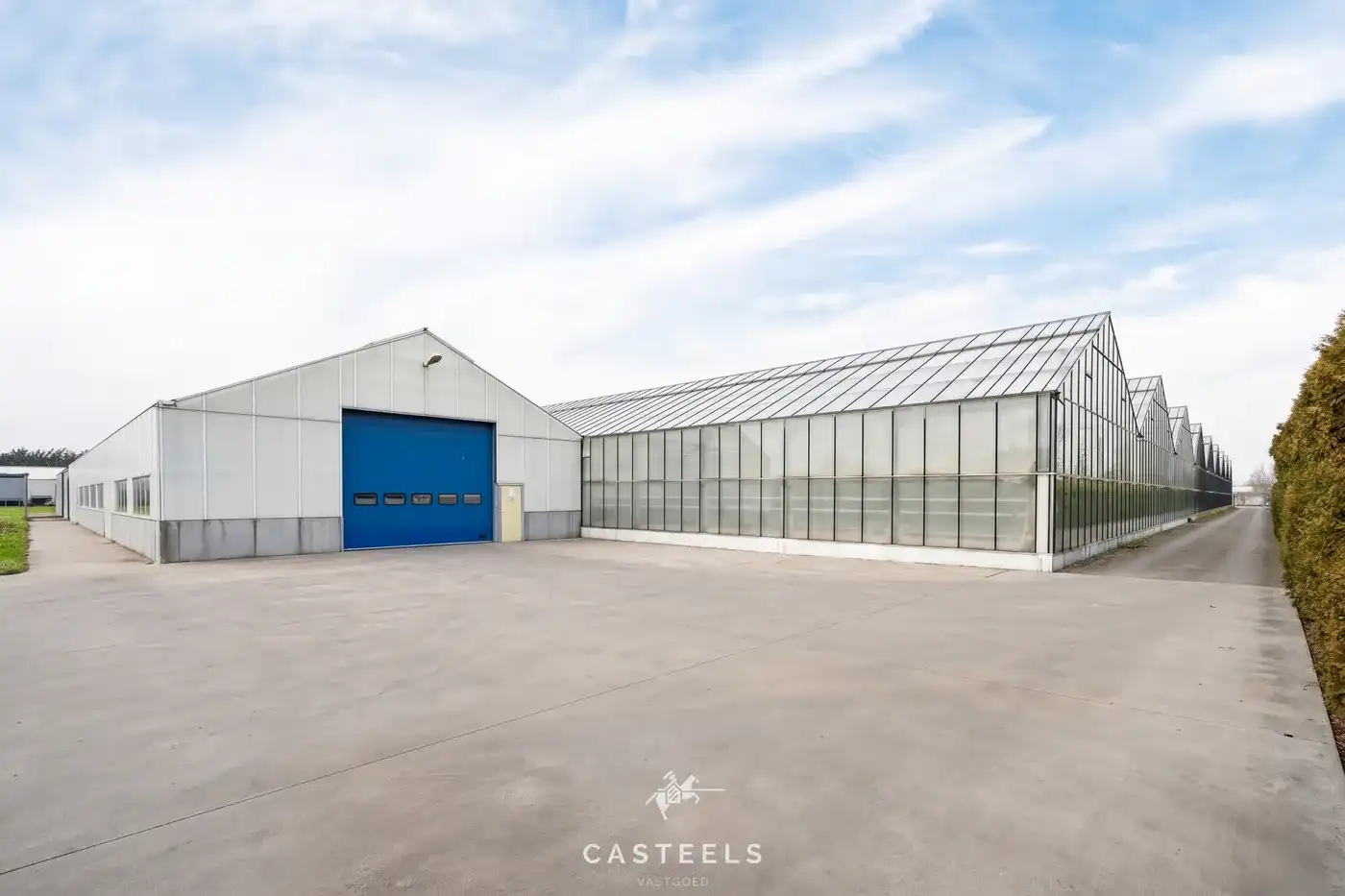 Professionele tuinbouwsite van 1,98 ha met 9.400 m² serres nabij E17 / R4 foto 10
