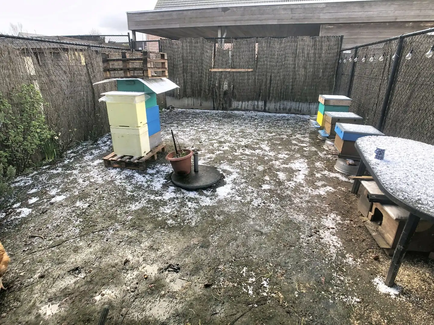 Zeer verzorgd duplex-appartement in centrum Westrozebeke, met tuintje, terras en carport foto 12